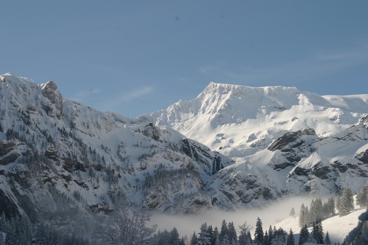 Bergdohle Apartment Adelboden Exterior photo