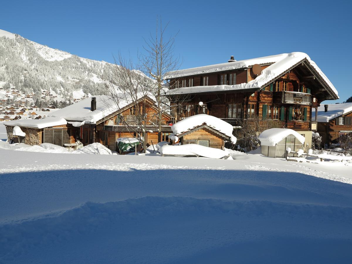 Bergdohle Apartment Adelboden Exterior photo